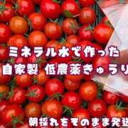 ヒメ日記 2026/09/17 02:31 投稿 みく 熟女の風俗最終章 宇都宮店