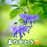 ヒメ日記 2025/02/28 07:05 投稿 りょうこ WHITE ROSE～ホワイトローズ～