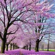 ヒメ日記 2025/03/31 07:10 投稿 りょうこ WHITE ROSE～ホワイトローズ～