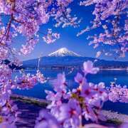 ヒメ日記 2025/04/04 07:38 投稿 りょうこ WHITE ROSE～ホワイトローズ～