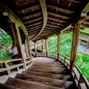 ヒメ日記 2025/04/17 07:35 投稿 りょうこ WHITE ROSE～ホワイトローズ～