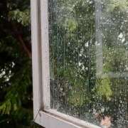 ヒメ日記 2025/04/23 07:30 投稿 りょうこ WHITE ROSE～ホワイトローズ～