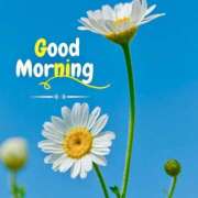 ヒメ日記 2025/04/30 07:11 投稿 りょうこ WHITE ROSE～ホワイトローズ～