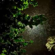 ヒメ日記 2025/05/02 07:30 投稿 りょうこ WHITE ROSE～ホワイトローズ～