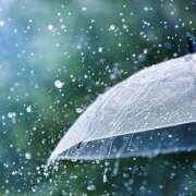 ヒメ日記 2025/05/06 07:14 投稿 りょうこ WHITE ROSE～ホワイトローズ～