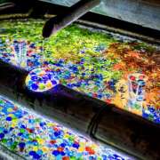 ヒメ日記 2025/05/28 07:22 投稿 りょうこ WHITE ROSE～ホワイトローズ～