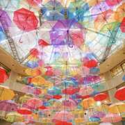 ヒメ日記 2025/06/04 07:13 投稿 りょうこ WHITE ROSE～ホワイトローズ～