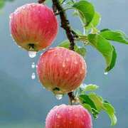 ヒメ日記 2025/06/05 07:19 投稿 りょうこ WHITE ROSE～ホワイトローズ～