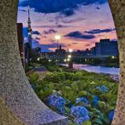 ヒメ日記 2025/06/09 07:20 投稿 りょうこ WHITE ROSE～ホワイトローズ～