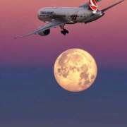 ヒメ日記 2025/06/12 07:10 投稿 りょうこ WHITE ROSE～ホワイトローズ～