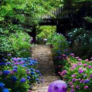 ヒメ日記 2025/06/23 07:08 投稿 りょうこ WHITE ROSE～ホワイトローズ～