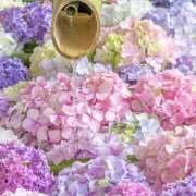 ヒメ日記 2025/07/02 07:17 投稿 りょうこ WHITE ROSE～ホワイトローズ～