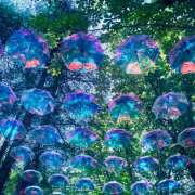 ヒメ日記 2025/07/03 07:12 投稿 りょうこ WHITE ROSE～ホワイトローズ～