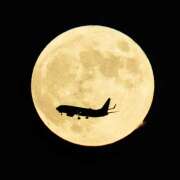 ヒメ日記 2025/07/24 07:07 投稿 りょうこ WHITE ROSE～ホワイトローズ～