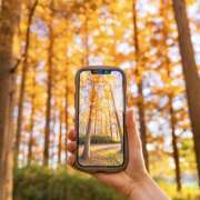 ヒメ日記 2025/07/30 07:46 投稿 りょうこ WHITE ROSE～ホワイトローズ～