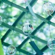 ヒメ日記 2025/08/14 07:23 投稿 りょうこ WHITE ROSE～ホワイトローズ～