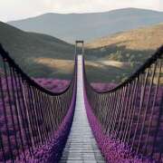 ヒメ日記 2025/08/19 07:04 投稿 りょうこ WHITE ROSE～ホワイトローズ～