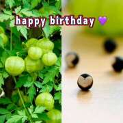 ヒメ日記 2025/09/03 07:04 投稿 りょうこ WHITE ROSE～ホワイトローズ～