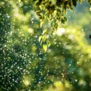 ヒメ日記 2025/09/04 07:09 投稿 りょうこ WHITE ROSE～ホワイトローズ～