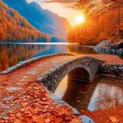 ヒメ日記 2025/09/09 07:07 投稿 りょうこ WHITE ROSE～ホワイトローズ～