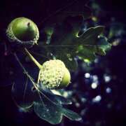 ヒメ日記 2025/09/15 07:08 投稿 りょうこ WHITE ROSE～ホワイトローズ～