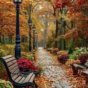 ヒメ日記 2025/09/17 07:05 投稿 りょうこ WHITE ROSE～ホワイトローズ～