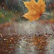 ヒメ日記 2025/09/18 07:10 投稿 りょうこ WHITE ROSE～ホワイトローズ～