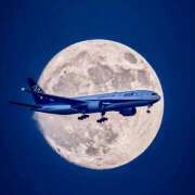 ヒメ日記 2025/09/29 07:13 投稿 りょうこ WHITE ROSE～ホワイトローズ～