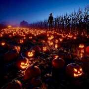 ヒメ日記 2025/10/22 07:10 投稿 りょうこ WHITE ROSE～ホワイトローズ～