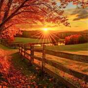 ヒメ日記 2025/11/06 07:53 投稿 りょうこ WHITE ROSE～ホワイトローズ～