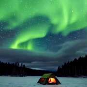 ヒメ日記 2025/11/18 07:16 投稿 りょうこ WHITE ROSE～ホワイトローズ～