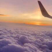 ヒメ日記 2025/11/19 07:02 投稿 りょうこ WHITE ROSE～ホワイトローズ～