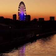 ヒメ日記 2025/11/20 07:15 投稿 りょうこ WHITE ROSE～ホワイトローズ～