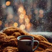 ヒメ日記 2025/11/25 07:12 投稿 りょうこ WHITE ROSE～ホワイトローズ～