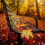 ヒメ日記 2025/11/27 07:35 投稿 りょうこ WHITE ROSE～ホワイトローズ～