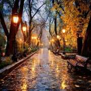 ヒメ日記 2025/12/18 07:06 投稿 りょうこ WHITE ROSE～ホワイトローズ～