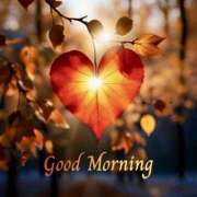 ヒメ日記 2026/01/14 07:01 投稿 りょうこ WHITE ROSE～ホワイトローズ～