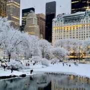 ヒメ日記 2026/01/22 07:10 投稿 りょうこ WHITE ROSE～ホワイトローズ～