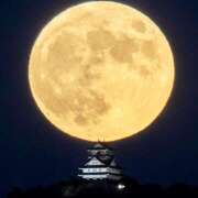 ヒメ日記 2026/01/29 07:05 投稿 りょうこ WHITE ROSE～ホワイトローズ～