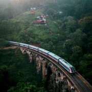 ヒメ日記 2026/02/02 07:13 投稿 りょうこ WHITE ROSE～ホワイトローズ～