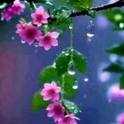 ヒメ日記 2026/03/05 07:02 投稿 りょうこ WHITE ROSE～ホワイトローズ～