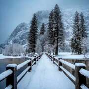 ヒメ日記 2026/03/12 07:13 投稿 りょうこ WHITE ROSE～ホワイトローズ～