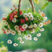 ヒメ日記 2026/03/19 07:06 投稿 りょうこ WHITE ROSE～ホワイトローズ～