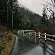 ヒメ日記 2026/04/07 07:19 投稿 りょうこ WHITE ROSE～ホワイトローズ～