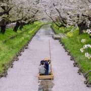 ヒメ日記 2026/04/13 07:07 投稿 りょうこ WHITE ROSE～ホワイトローズ～