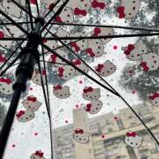 ヒメ日記 2026/04/14 07:06 投稿 りょうこ WHITE ROSE～ホワイトローズ～