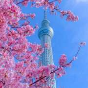 ヒメ日記 2026/04/29 07:11 投稿 りょうこ WHITE ROSE～ホワイトローズ～