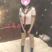 ヒメ日記 2024/12/18 17:40 投稿 はるか リアル難波店