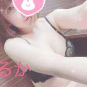 ヒメ日記 2024/12/19 18:50 投稿 はるか リアル難波店