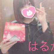 ヒメ日記 2024/12/19 21:10 投稿 はるか リアル難波店